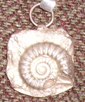 Click for a larger picture of the Ammonite Pendant